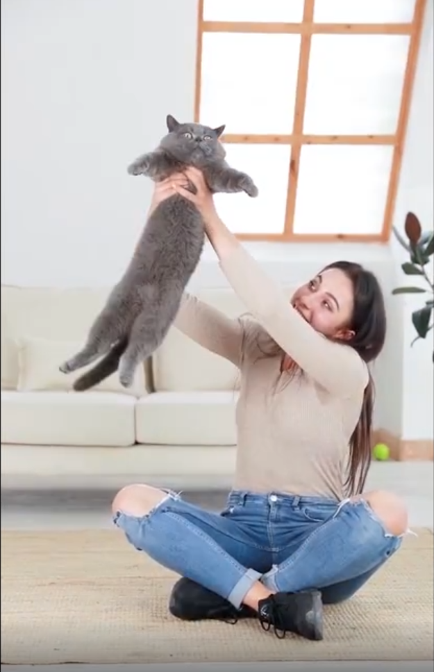 ROBOT SUIVEUR AUTOMATIQUE DE VISAGE POUR VIDÉO|PHOTO SUR TÉLÉPHONE