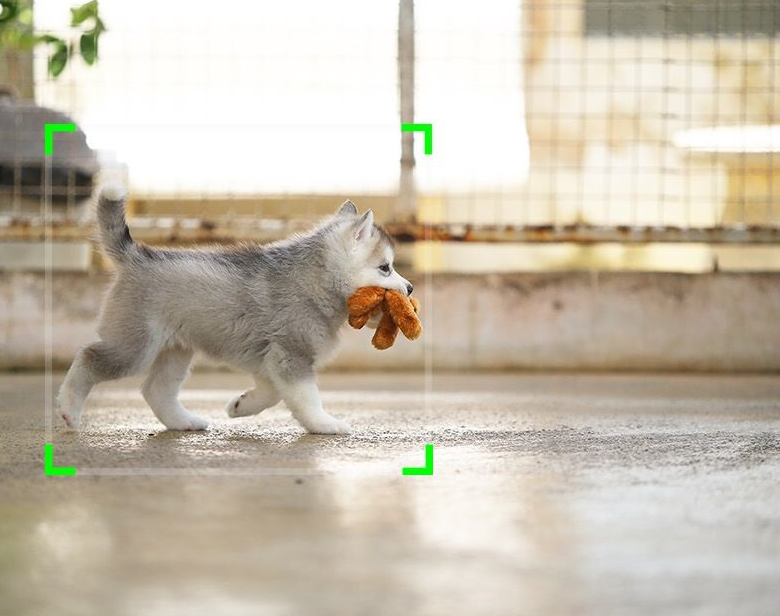 ROBOT SUIVEUR AUTOMATIQUE DE VISAGE POUR VIDÉO|PHOTO SUR TÉLÉPHONE